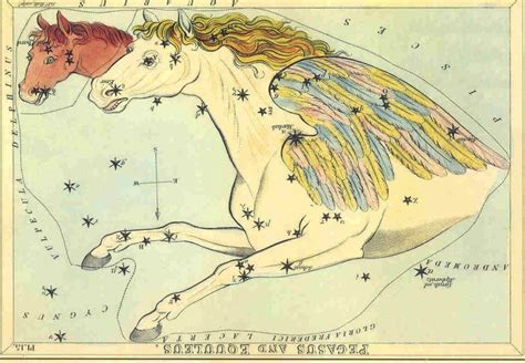 Pegasus Constellation Meaning – Astrology King