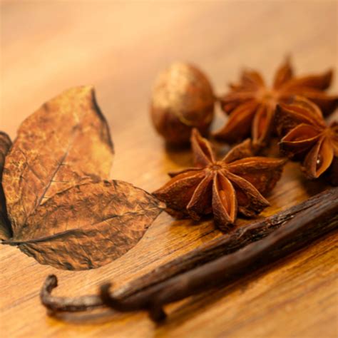 Tobacco Vanila (TF) Fragrance Oil – Paris Fragrances