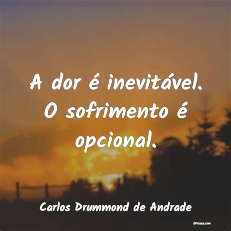 A Dor É Inevitável O Sofrimento É Opcional