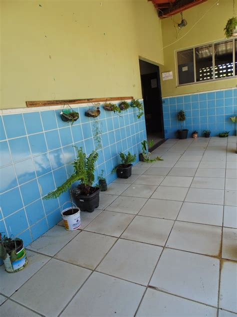 Escola Municipal Tobias Barreto: A Escola Tobias Barreto de visual novo!