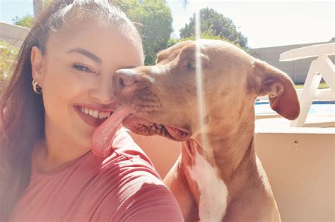 Lockdown lessons from Myrtle the pit bull | UCT News