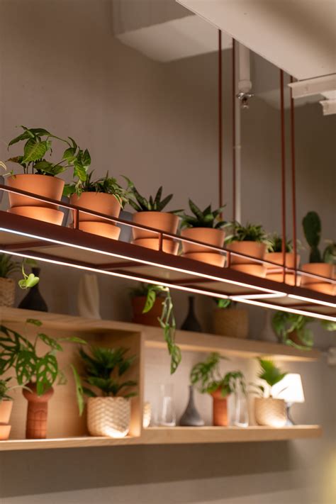 Social Affair Senayan City — Shape of Thoughts