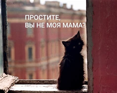 Вы все дураки и не лечитесь, одна я умная в белом пальто стою красивая ...