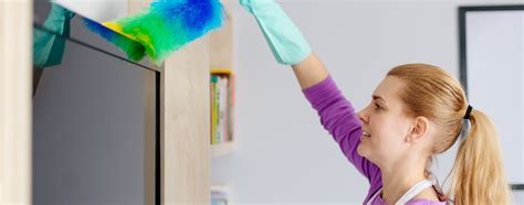 dusting  cleaning institute
