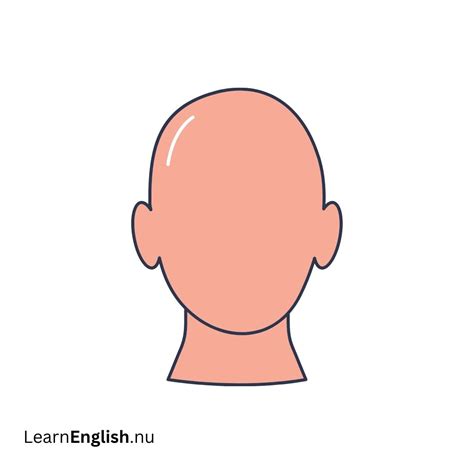 parts of the head in German - learn german