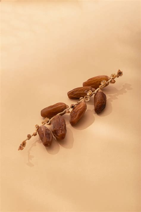 Degletnour – Azewa