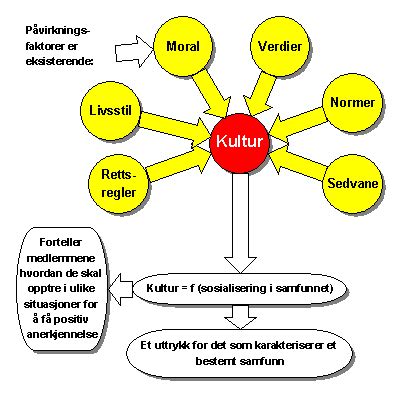 Organisasjonskultur ( bedriftskultur )