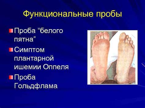 Кафедра факультетской хирургии Зав кафедрой профессор Вачёв