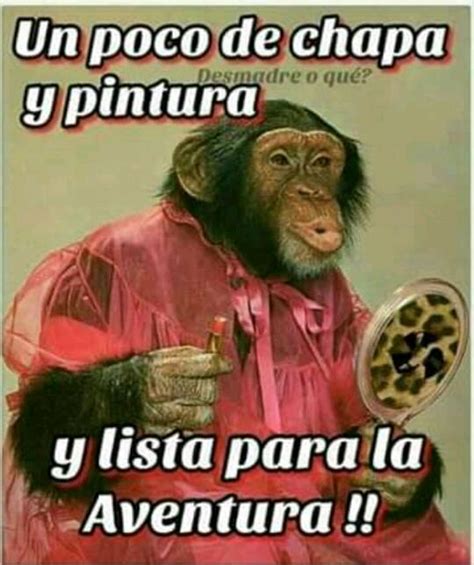Buenos días, imagenes con humor | Fotos de Humor, Videos y Reels de risa