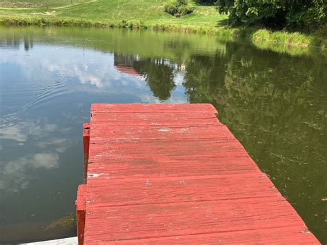 Local fishermen are following the west virginia trout stocking schedule very closely 18