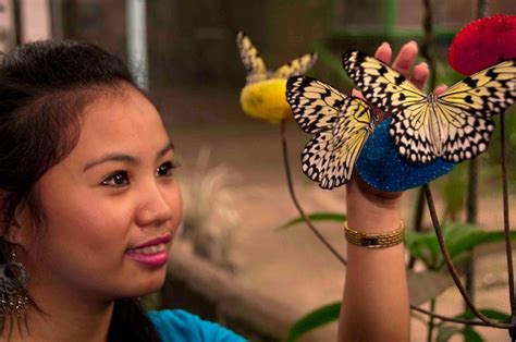 Jumalon Butterfly Sanctuary Cebu | Camotes island, Cebu, Bantayan island