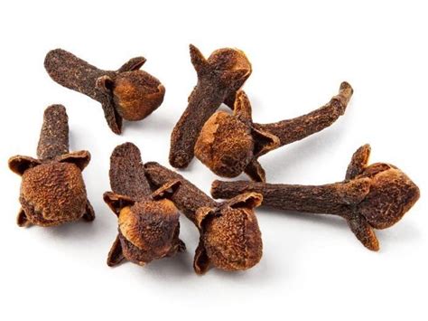 Clove - Alchetron, The Free Social Encyclopedia