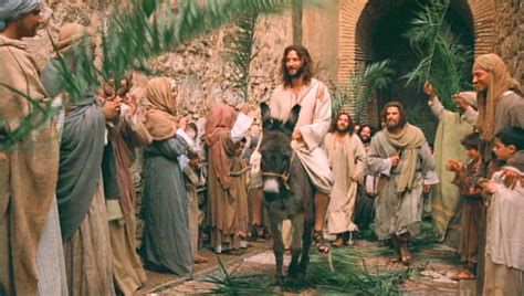 What is Palm Sunday? Why do we celebrate it?- Idoma Voice