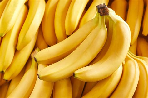 How To Grow A Banana Tree - Minneopa Orchards
