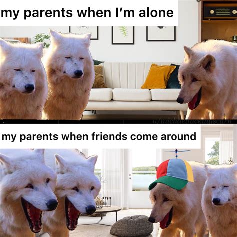 me vs friends with parents : r/memes