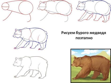 Малюнки олівцем бурий ведмідь (20 фото) | #ТЕГ