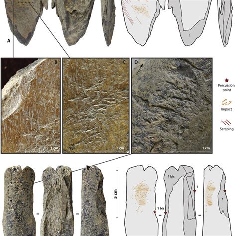 Chagyrskaya cave. A -Geographical location (DAO M. Baumann); B -View of ...