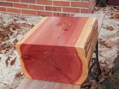 Cedar Wood: Origin, type and uses