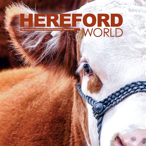 july hereford world deadlines approaching american hereford association