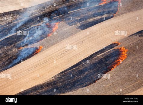 Fire in dry season burning agricultural fields, Western Cape, South ...