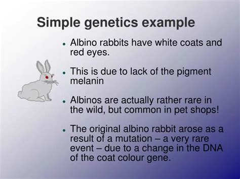 simple genetics  powerpoint