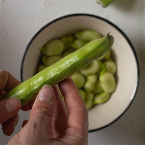 growing broad beans   uk  complete guide growpatch