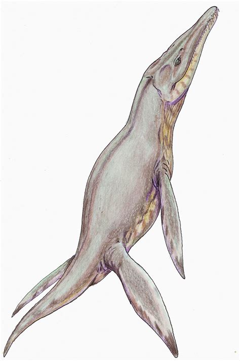 Pliosaurus | Prehistoric animals, Prehistoric, Prehistoric wildlife