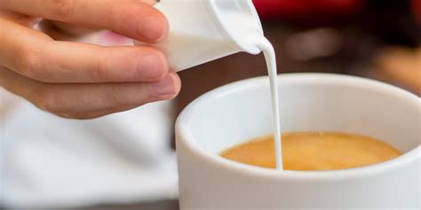 Café Crème | 360 Coffee