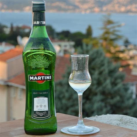 Martini Extra Dry - Keyif Adamı