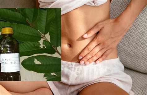 manfaat daun jambu untuk lambung : buktikan  manfaat daun jambu biji  lambung masalah pencernaan