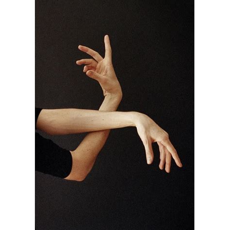 essay   body   shapes part iv  hands