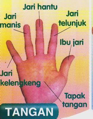 sains