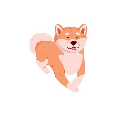 30+ Shiba Inu Meme Stock Photos, Pictures & Royalty-Free Images - iStock