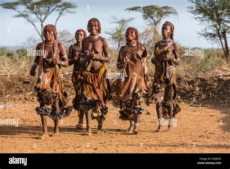 Hamar Tribe ceremony of Omo Valley, Ethiopia Stock Photo - Alamy