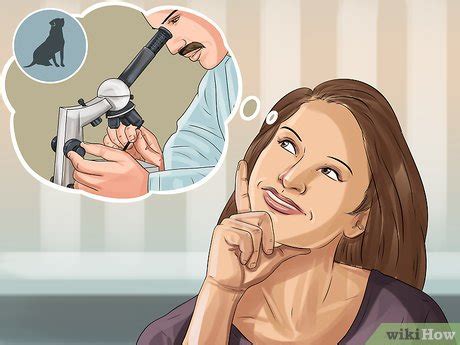 how to treat lyme in dogs