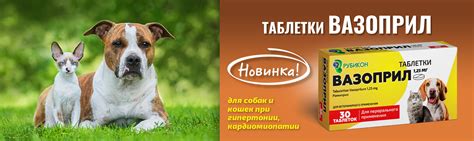 ООО «РУБИКОН» Ветеринарные препараты. ПЛАНЕТА ЗДОРОВЫХ ЖИВОТНЫХ