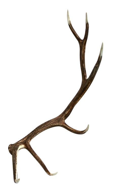 Elk Antler Logo