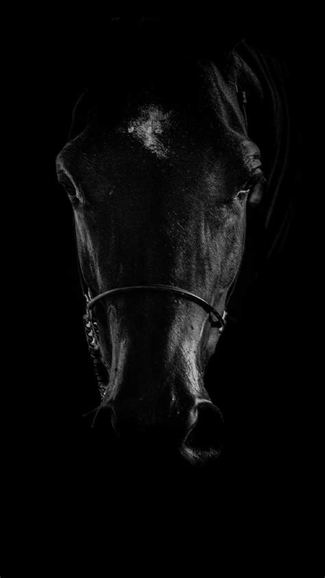 Dark Horse HD Wallpapers - Top Free Dark Horse HD Backgrounds ...