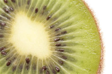 Free Stock Photo 10511 Close up texture of a fresh sliced kiwifruit