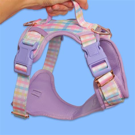 No Pull Dog Harness | Step in | Reflective | Heavy Duty | Easy Reach