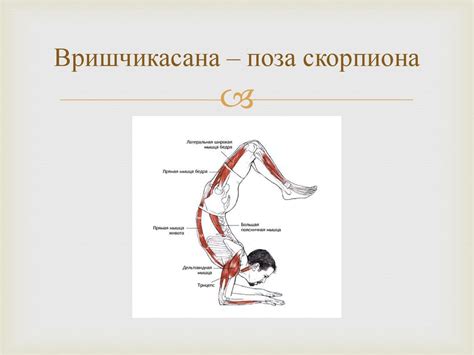 Асаны. Базовые элементы йоги - презентация онлайн