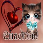 Магическая открытка Спасибо! С маленьким котиком- Скачать бесплатно на ...