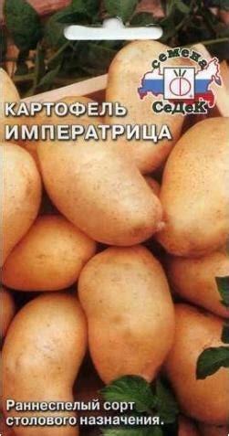 Семена картофеля Императрица| Интернет-магазин семян картофеля