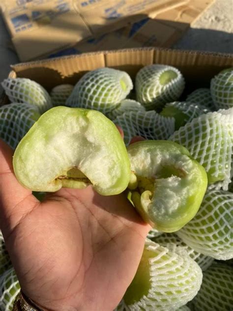 mận xanh đường - Tinicart.vn - Sàn đăng tin mua bán Nông sản giá sỉ