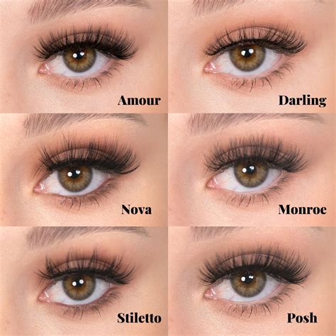 Posh Lashes – Posh Lash Professional Inc