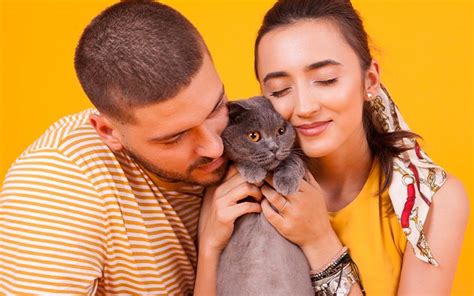 Cat2Cat Catlitter - World's First %100 Dust Free Cat Litter