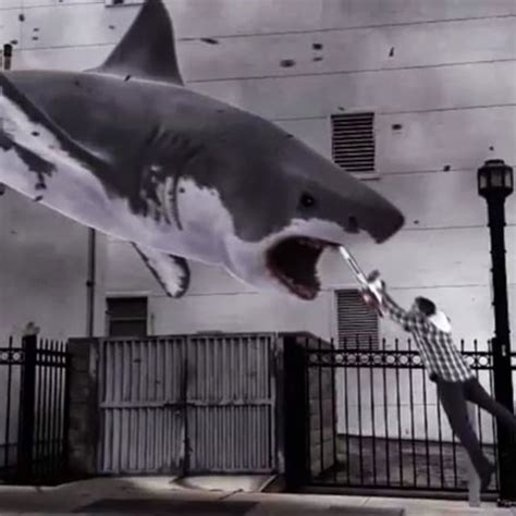 Greatest Movie Shark Attack Scenes | Complex