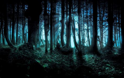 Night Forest Wallpapers - Wallpaper Cave