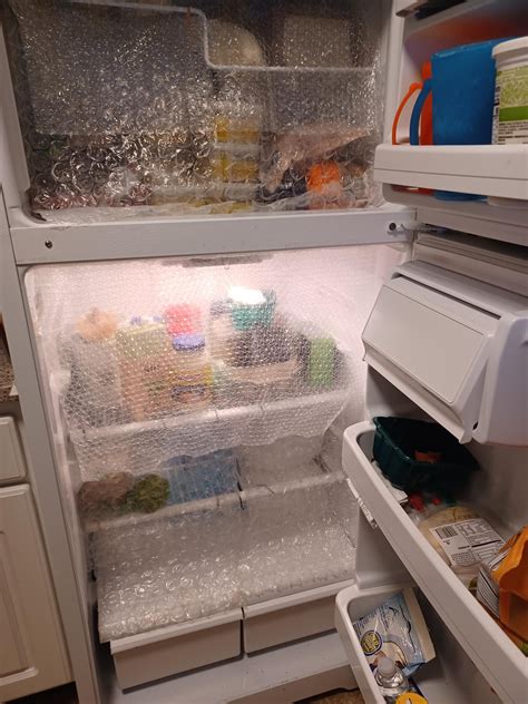 Keep your food fresh longer | TCD Guide