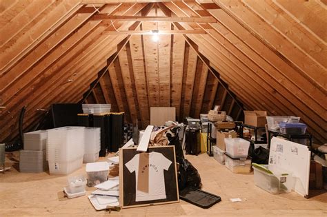 Making The Most Out of Our Attic Organization - Chris Loves Julia
